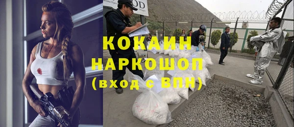 шишки Волосово