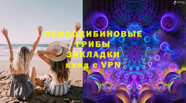 шишки Волосово